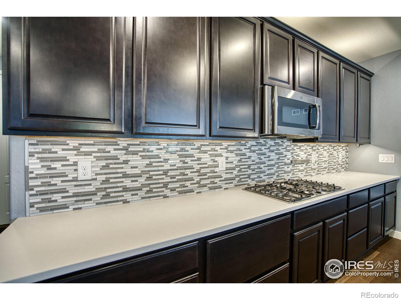 MLS Image #6 for 2224  tyrrhenian circle,longmont, Colorado