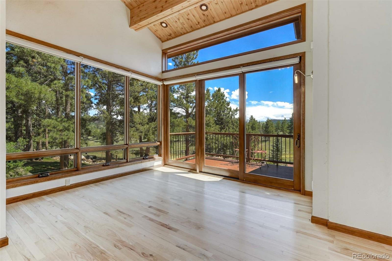 MLS Image #11 for 835  deer lane,guffey, Colorado