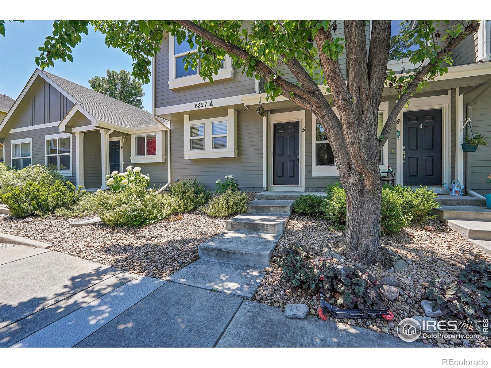 CMA Image for 6827  Autumn Ridge Drive,Fort Collins, Colorado