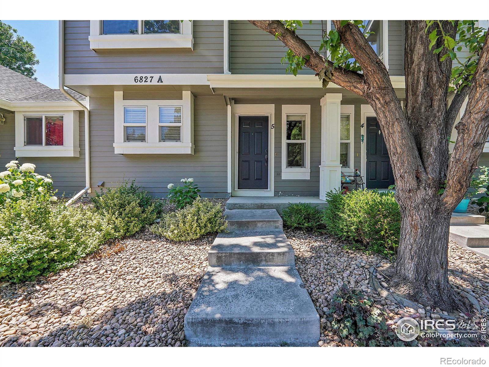 MLS Image #2 for 6827  autumn ridge drive,fort collins, Colorado