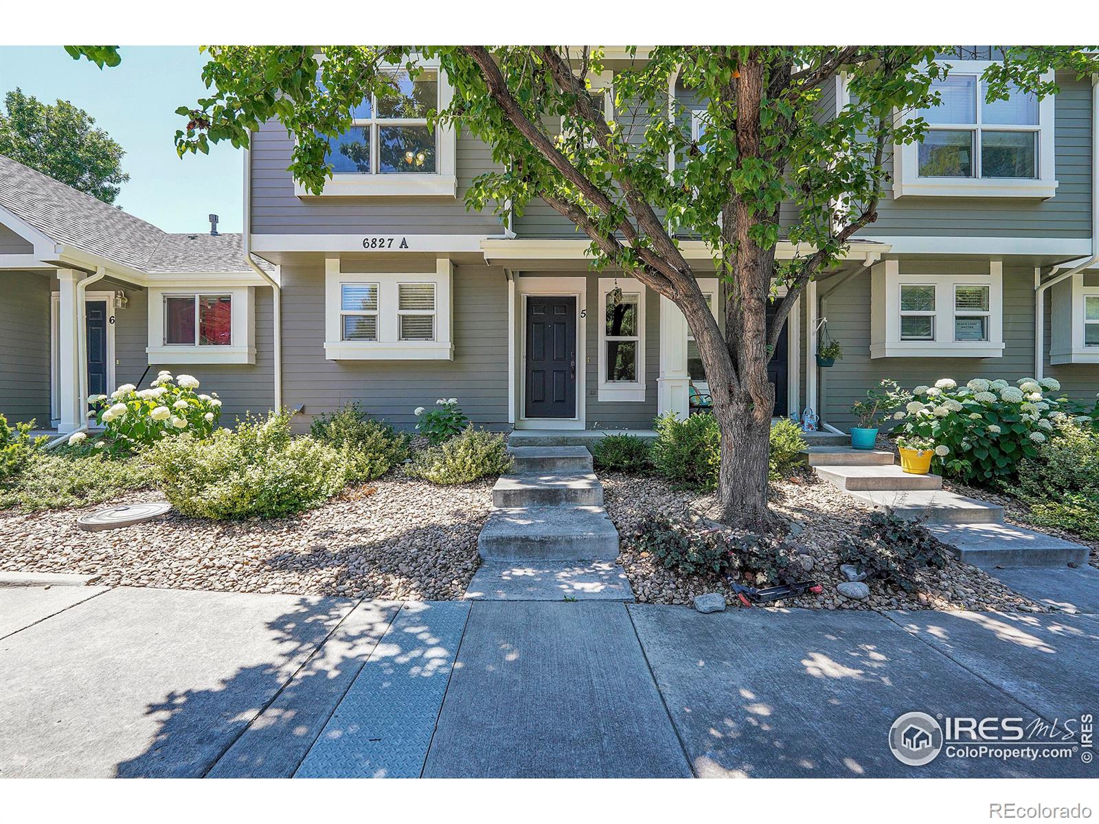 MLS Image #3 for 6827  autumn ridge drive,fort collins, Colorado