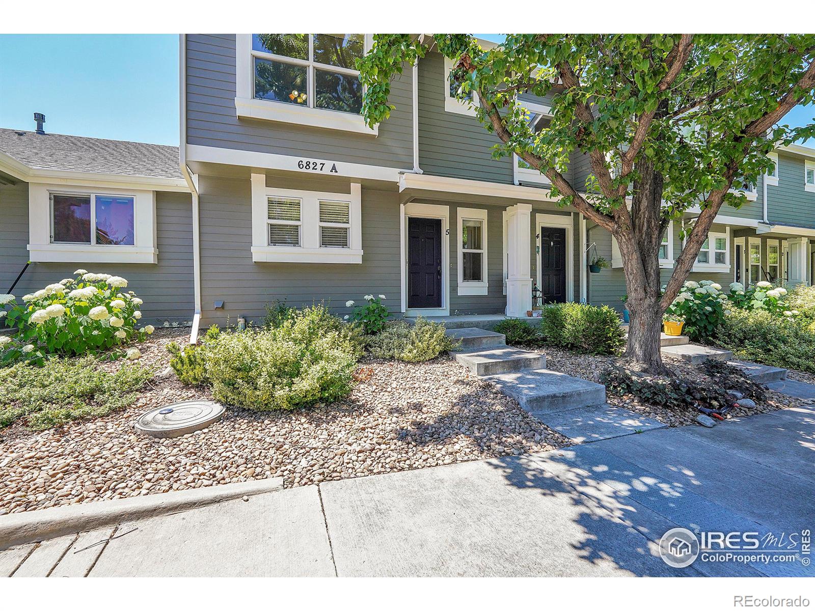 MLS Image #4 for 6827  autumn ridge drive,fort collins, Colorado