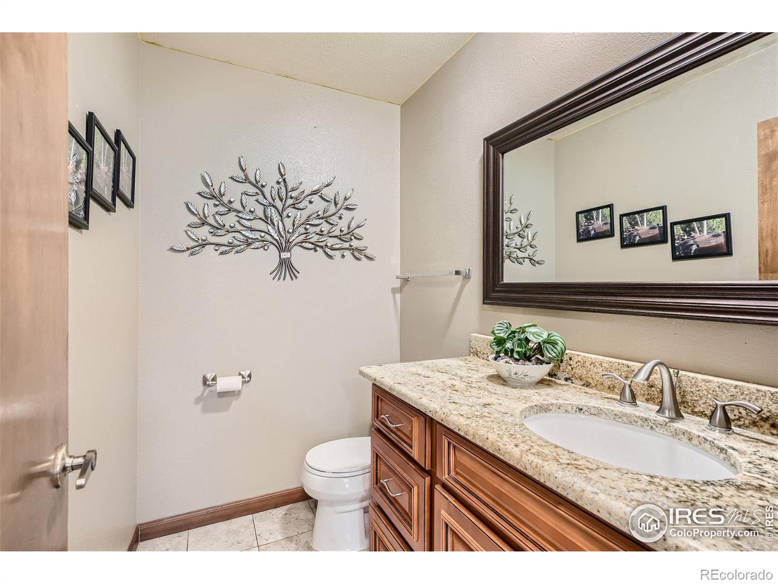 MLS Image #13 for 755  old stone drive,highlands ranch, Colorado