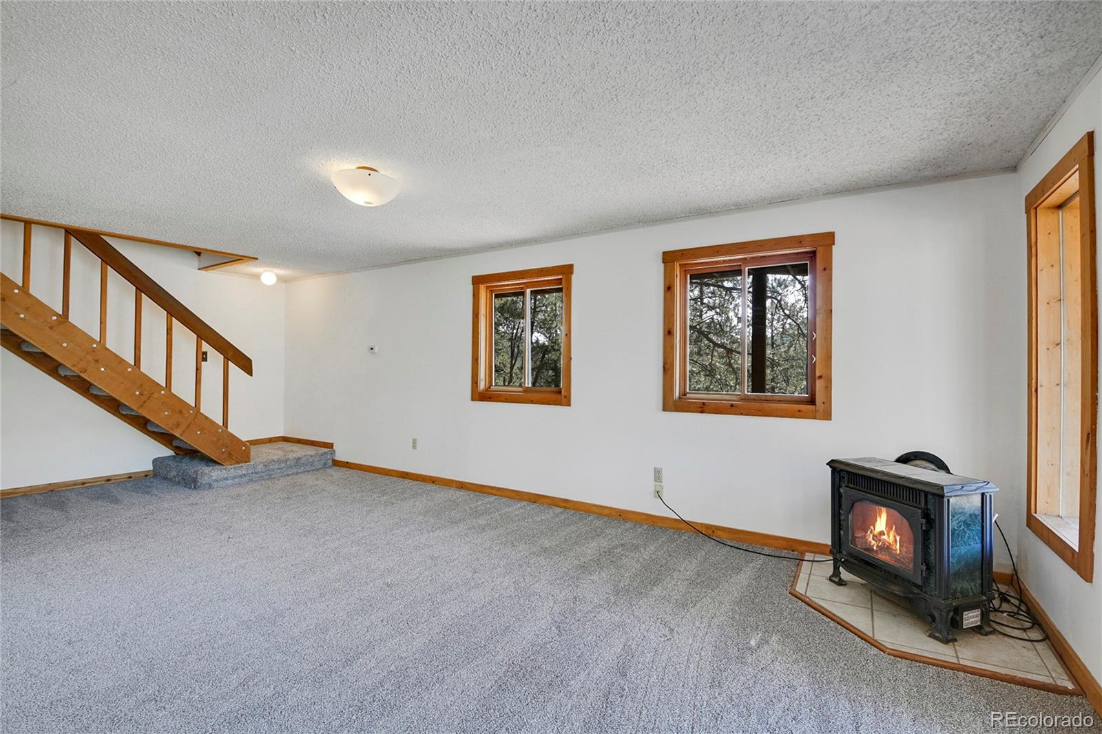MLS Image #22 for 33608  valley view drive,evergreen, Colorado