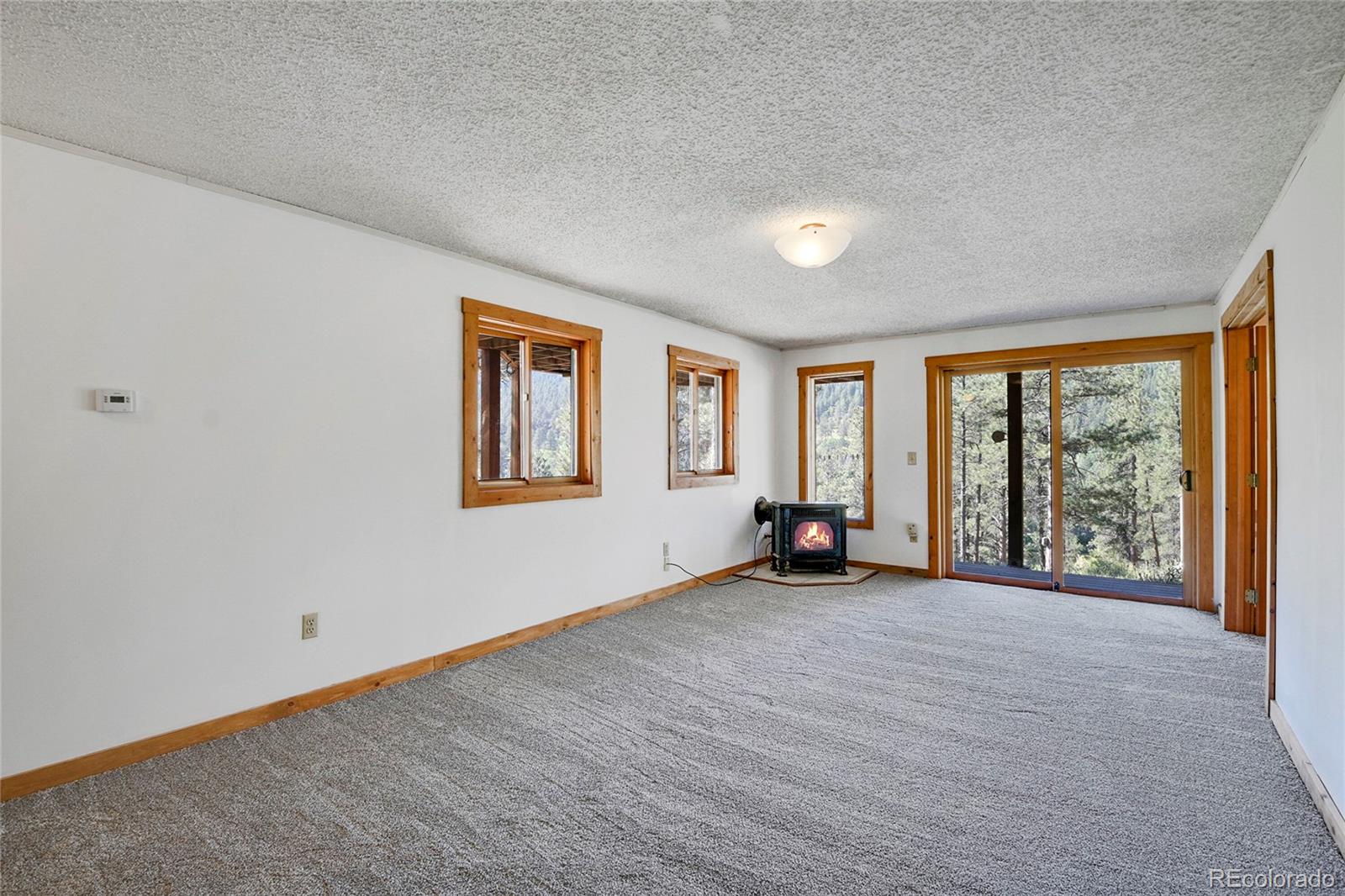 MLS Image #23 for 33608  valley view drive,evergreen, Colorado