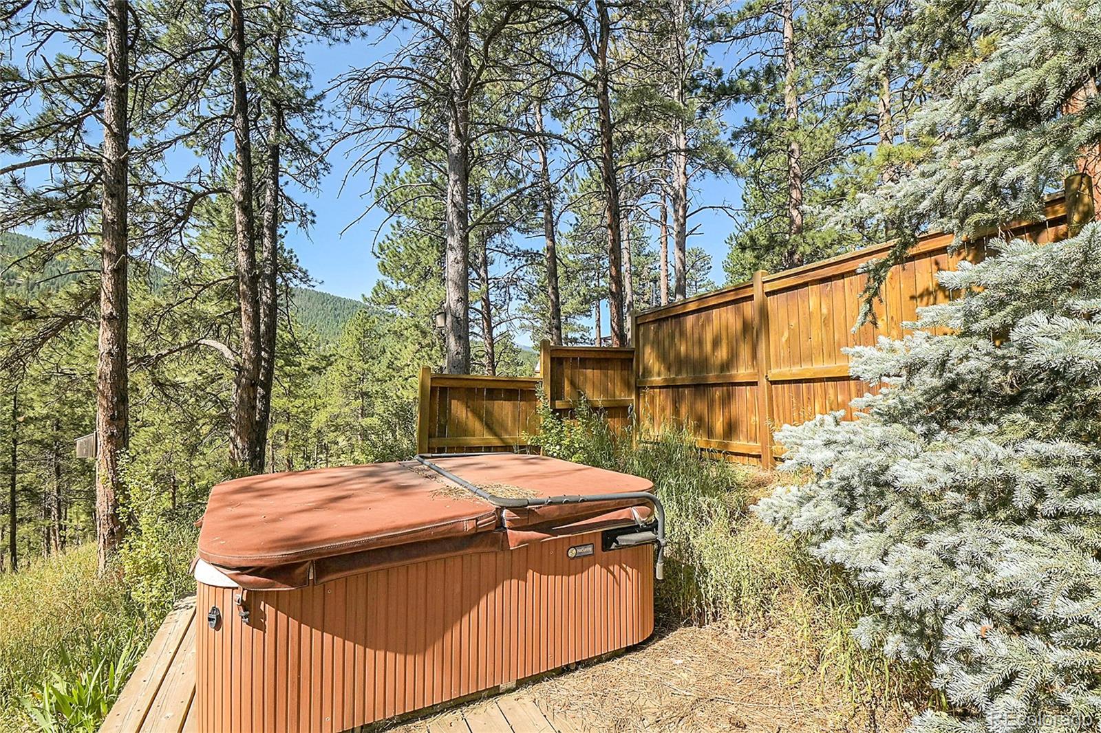MLS Image #28 for 33608  valley view drive,evergreen, Colorado
