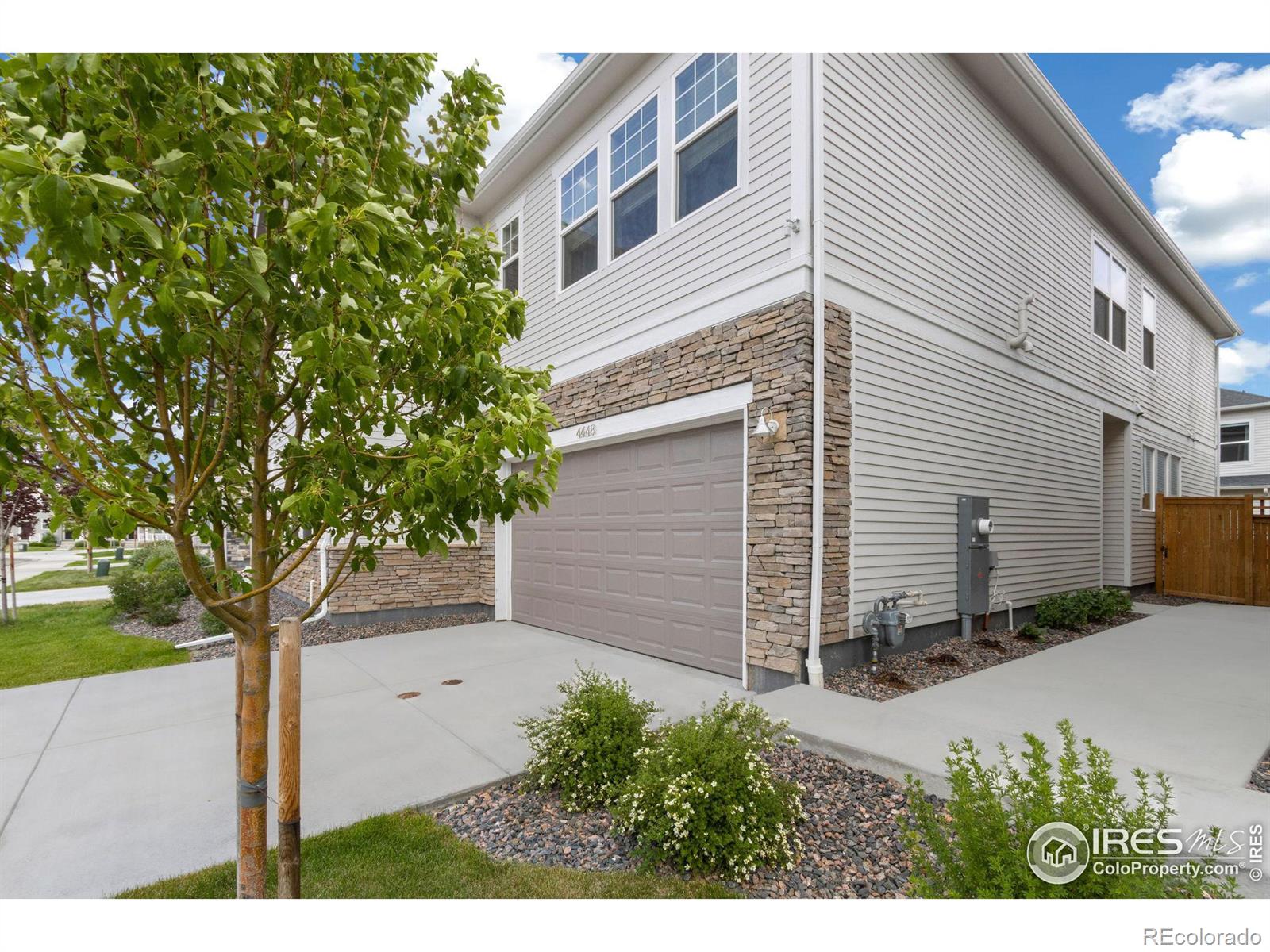 MLS Image #2 for 4448  haymill court,timnath, Colorado