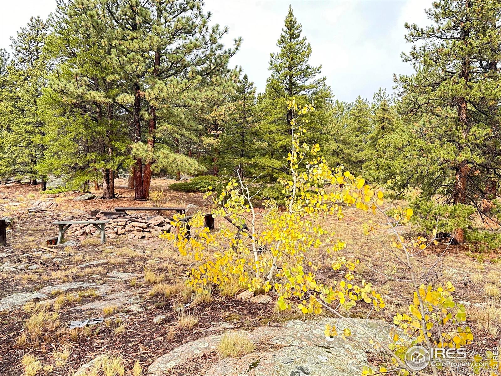 MLS Image #1 for 11650  peak to peak highway ,allenspark, Colorado