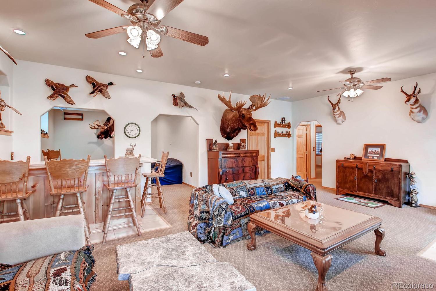 MLS Image #16 for 356 n vermillion road,lake george, Colorado