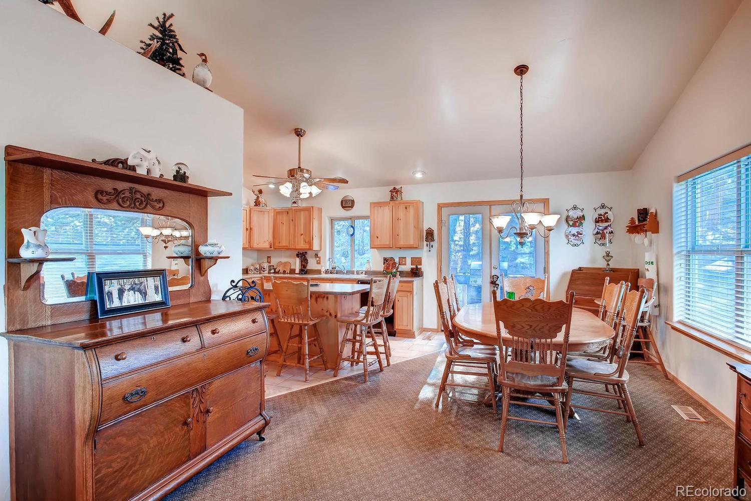 MLS Image #4 for 356 n vermillion road,lake george, Colorado