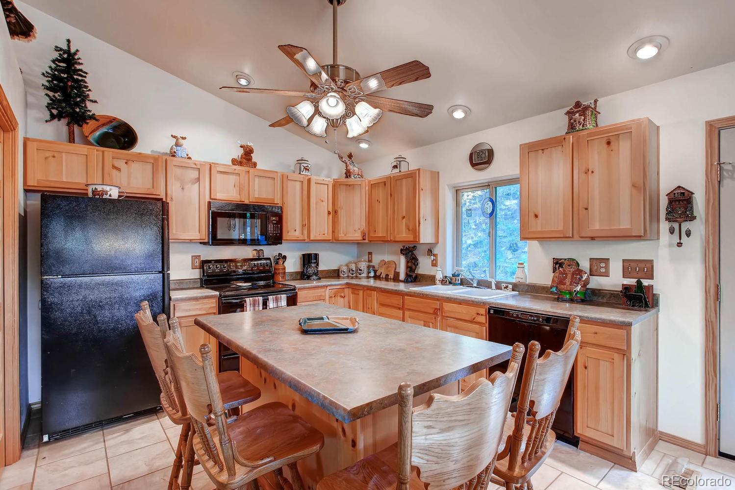 MLS Image #5 for 356 n vermillion road,lake george, Colorado