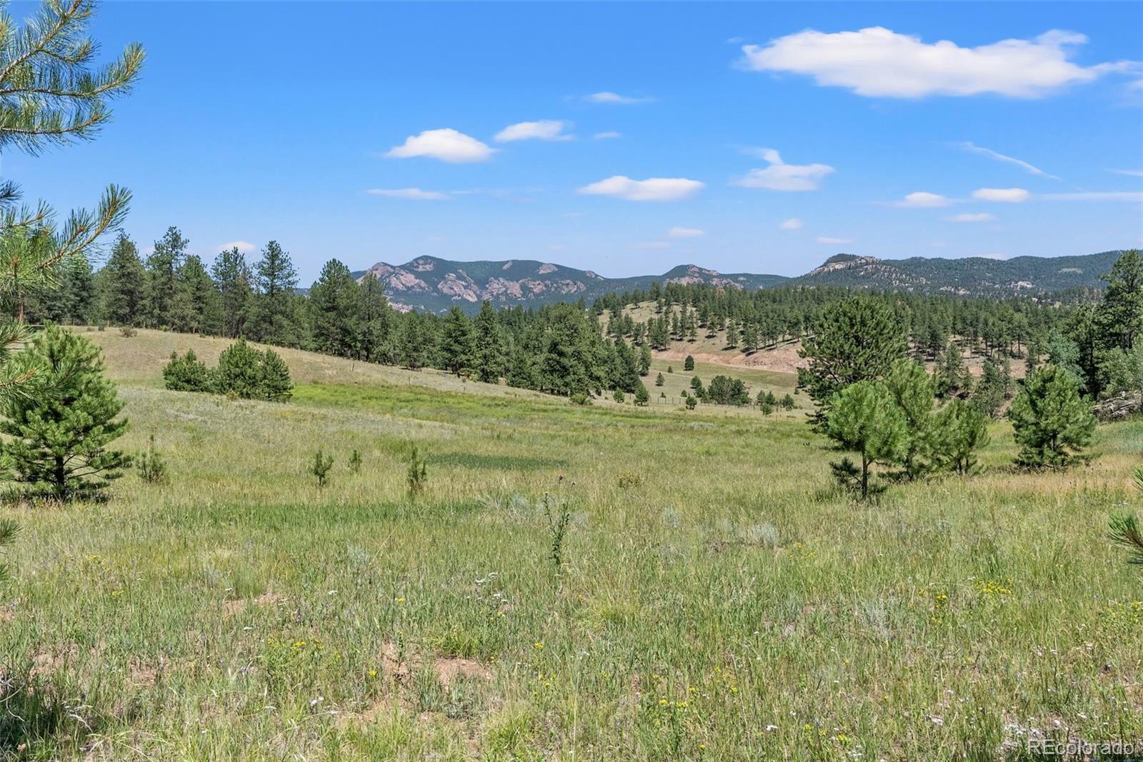 MLS Image #6 for 13745  may long court,pine, Colorado