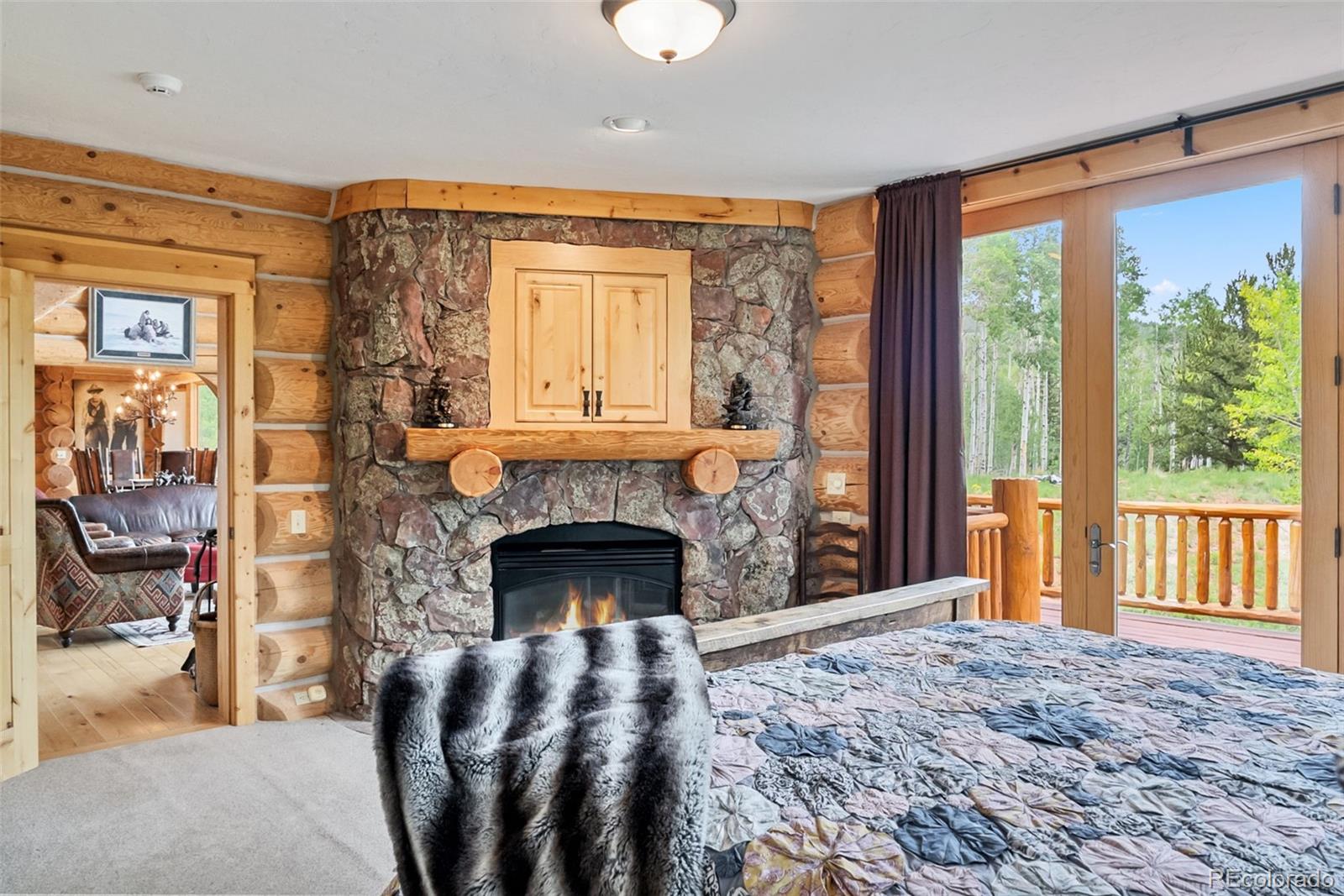 MLS Image #13 for 655  iron mountain road,fairplay, Colorado