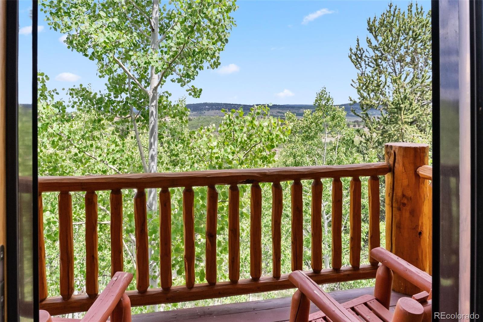 MLS Image #29 for 655  iron mountain road,fairplay, Colorado