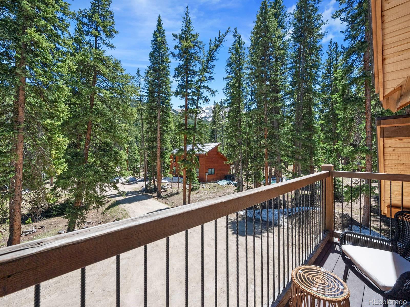 MLS Image #35 for 5697  highway 9 ,breckenridge, Colorado