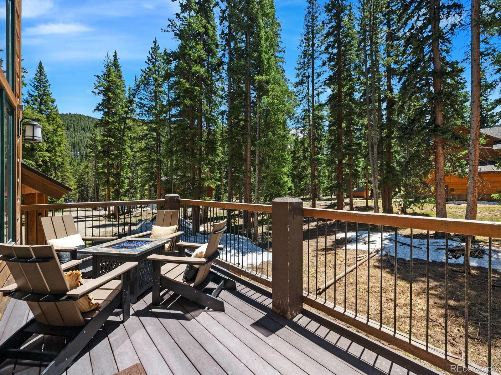 MLS Image #36 for 5697  highway 9 ,breckenridge, Colorado