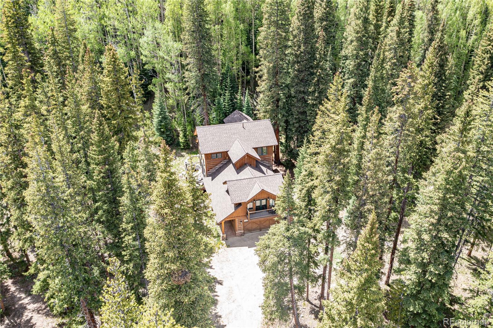 MLS Image #45 for 5697  highway 9 ,breckenridge, Colorado