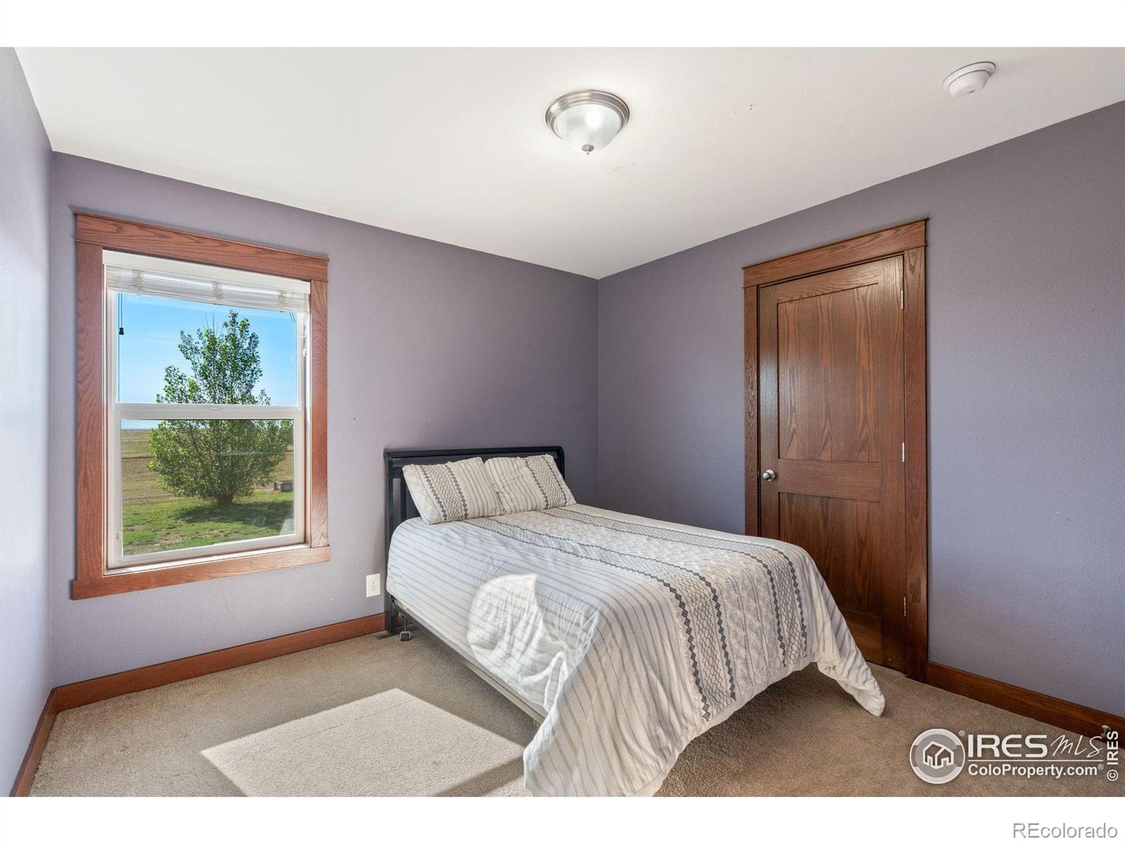 MLS Image #21 for 38198  county road 65 ,galeton, Colorado