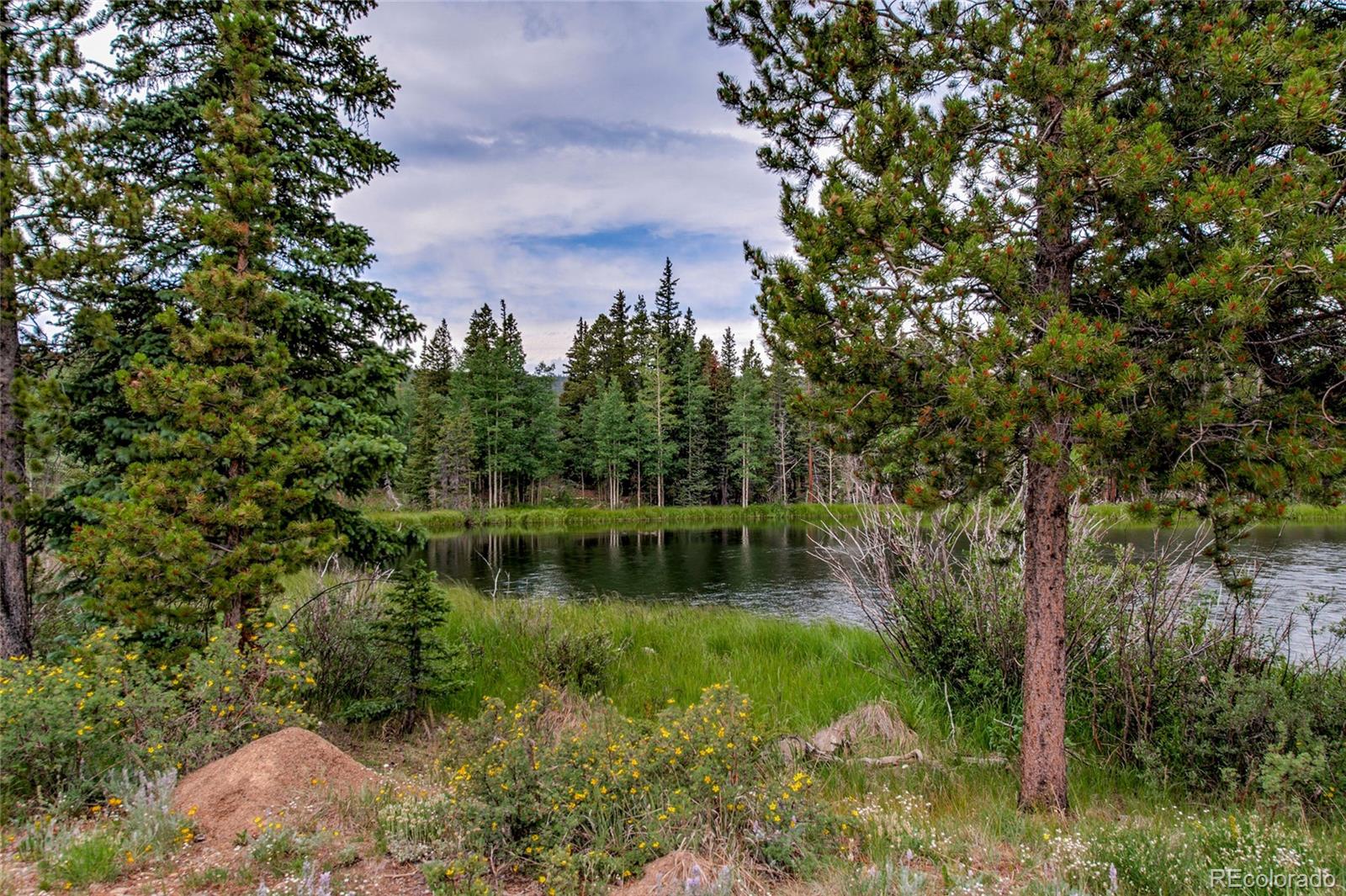 MLS Image #4 for 2784  lakeside drive,fairplay, Colorado