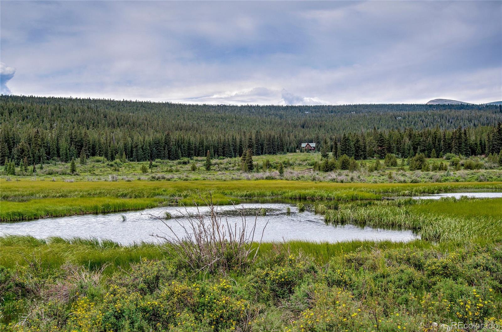 MLS Image #42 for 2784  lakeside drive,fairplay, Colorado