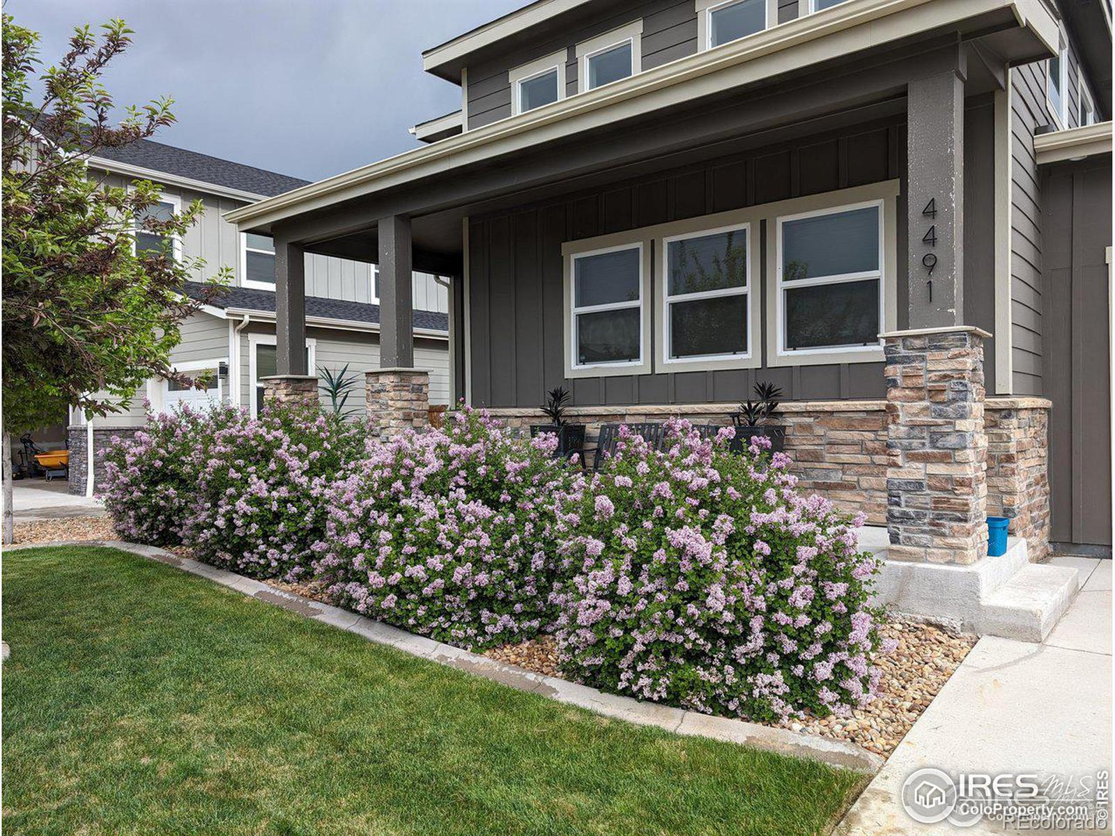 MLS Image #0 for 4491  granger drive,wellington, Colorado