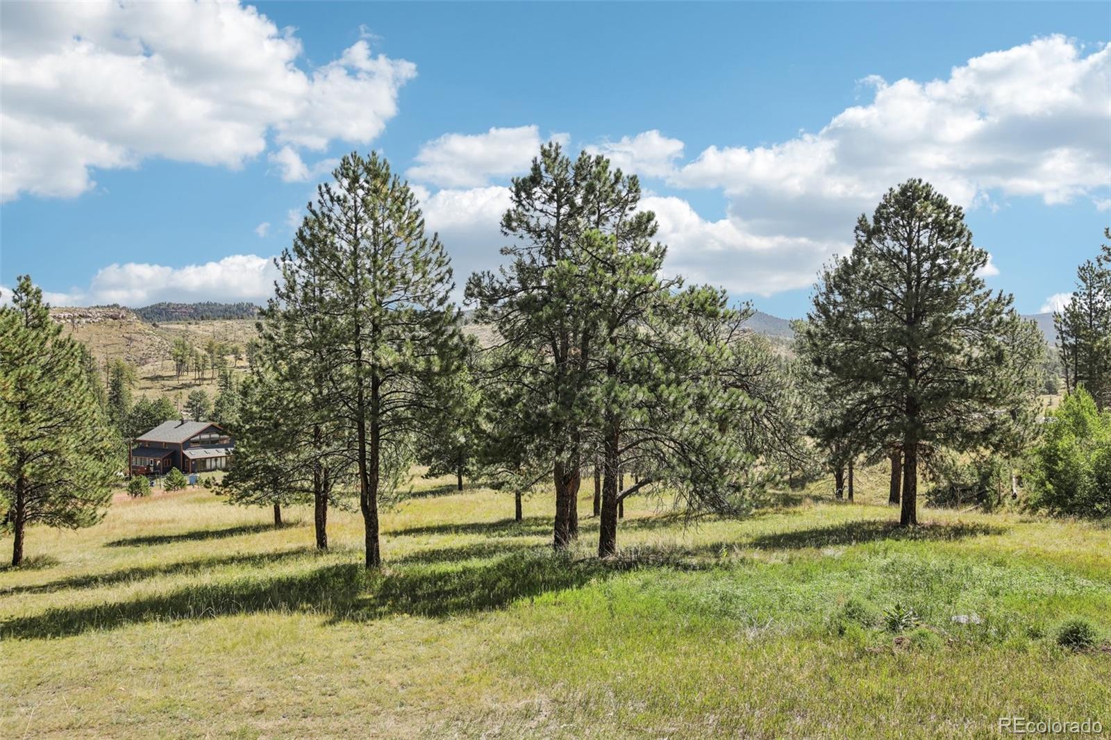 MLS Image #38 for 13368  hedi road,woodland park, Colorado