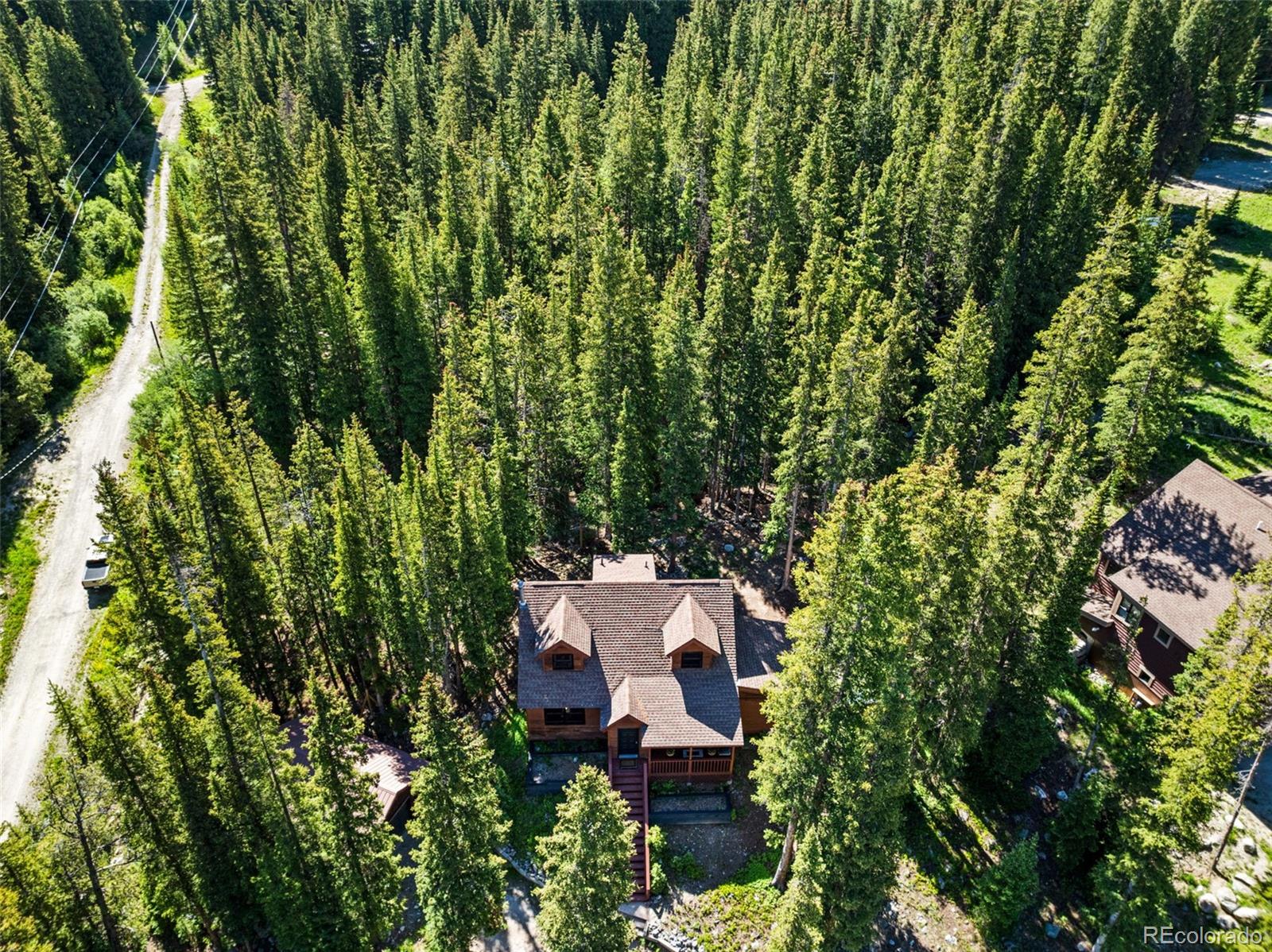 MLS Image #1 for 654  county road 672 ,breckenridge, Colorado