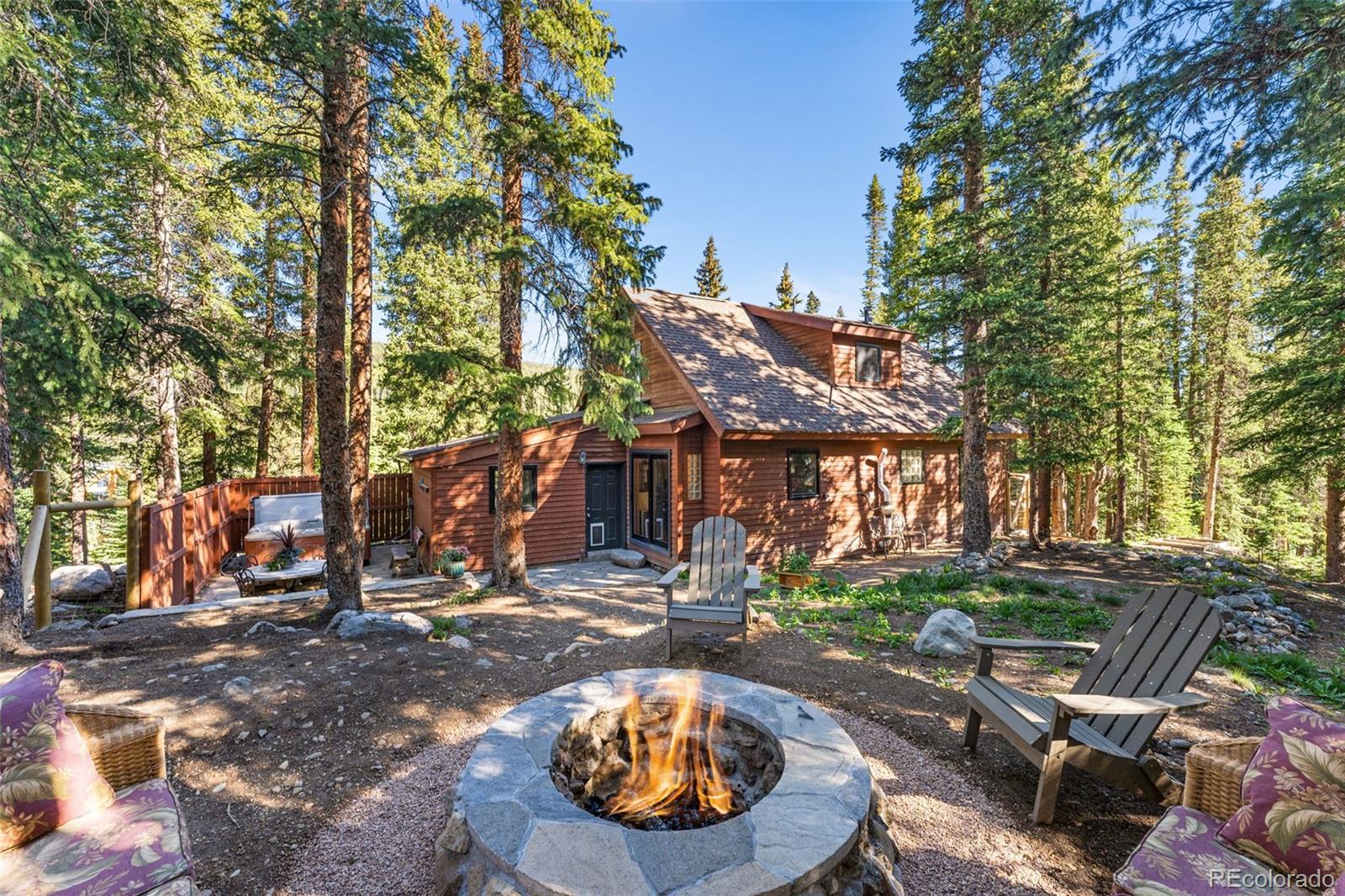 MLS Image #24 for 654  county road 672 ,breckenridge, Colorado