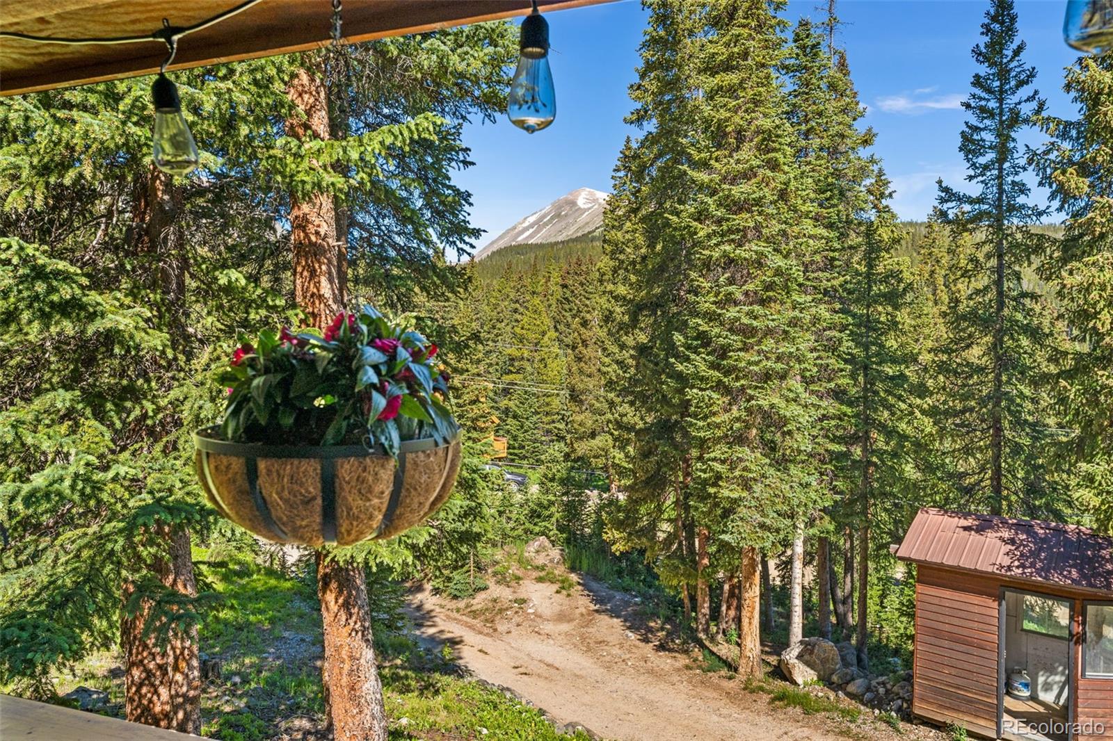 MLS Image #27 for 654  county road 672 ,breckenridge, Colorado