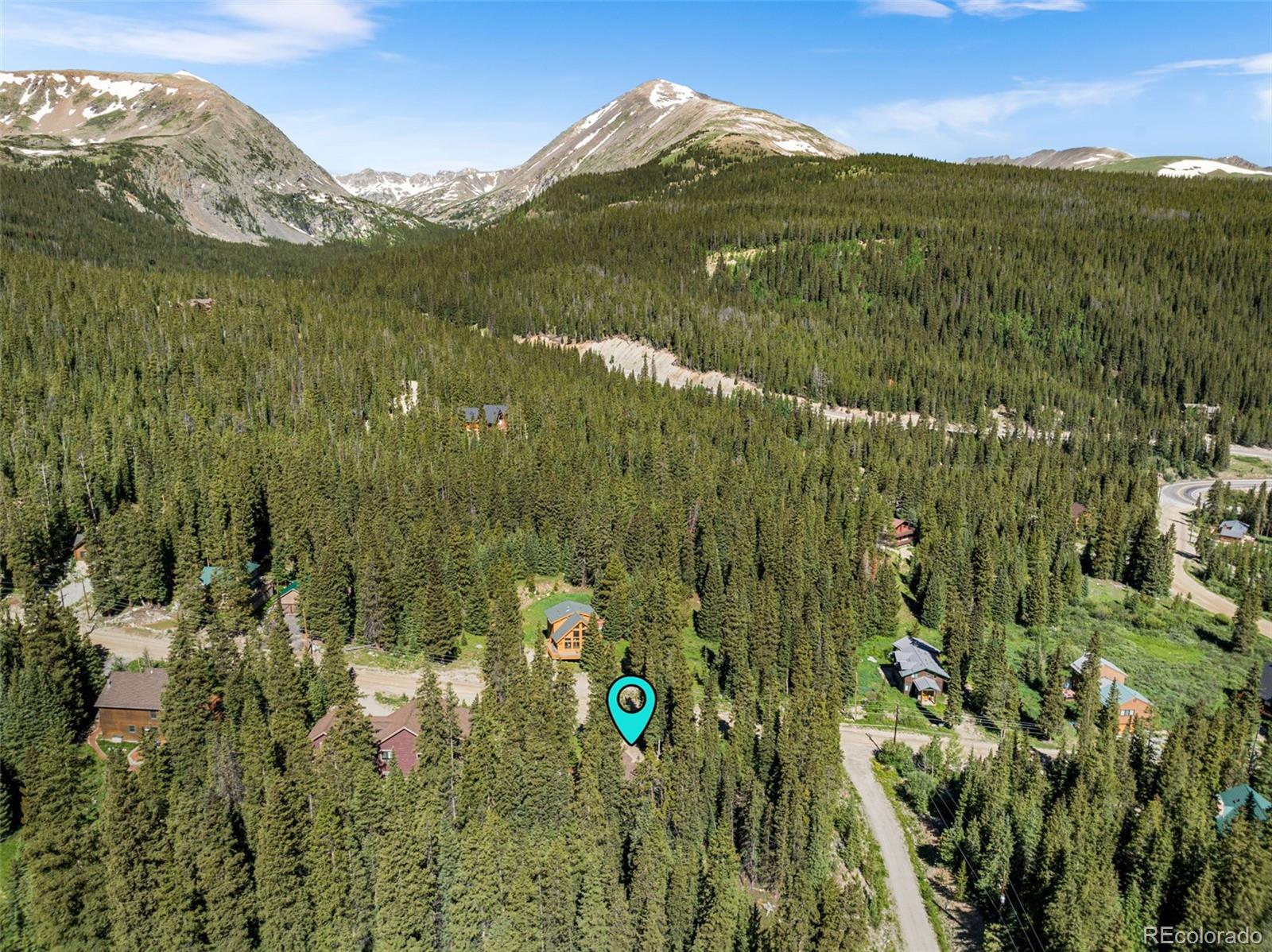 MLS Image #3 for 654  county road 672 ,breckenridge, Colorado