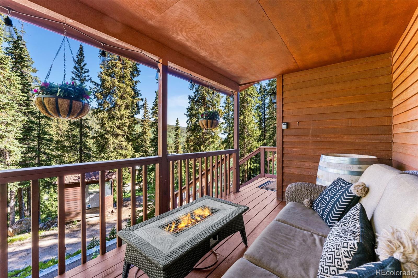 MLS Image #30 for 654  county road 672 ,breckenridge, Colorado