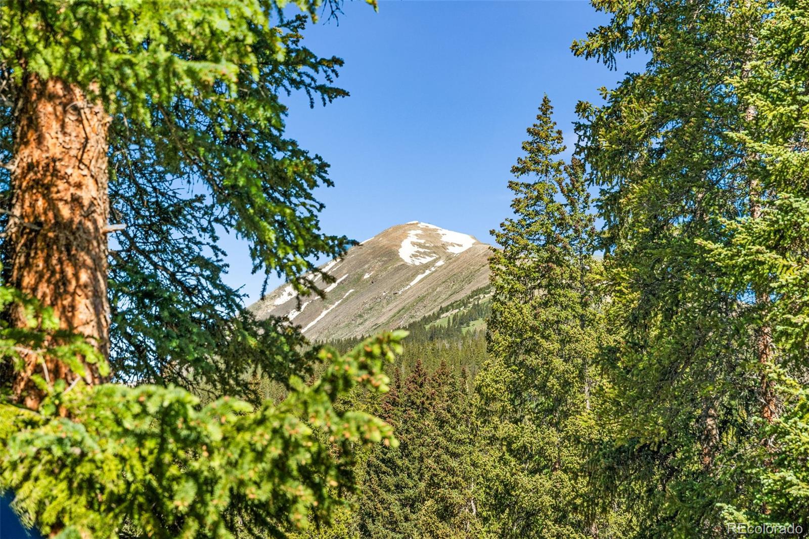 MLS Image #31 for 654  county road 672 ,breckenridge, Colorado