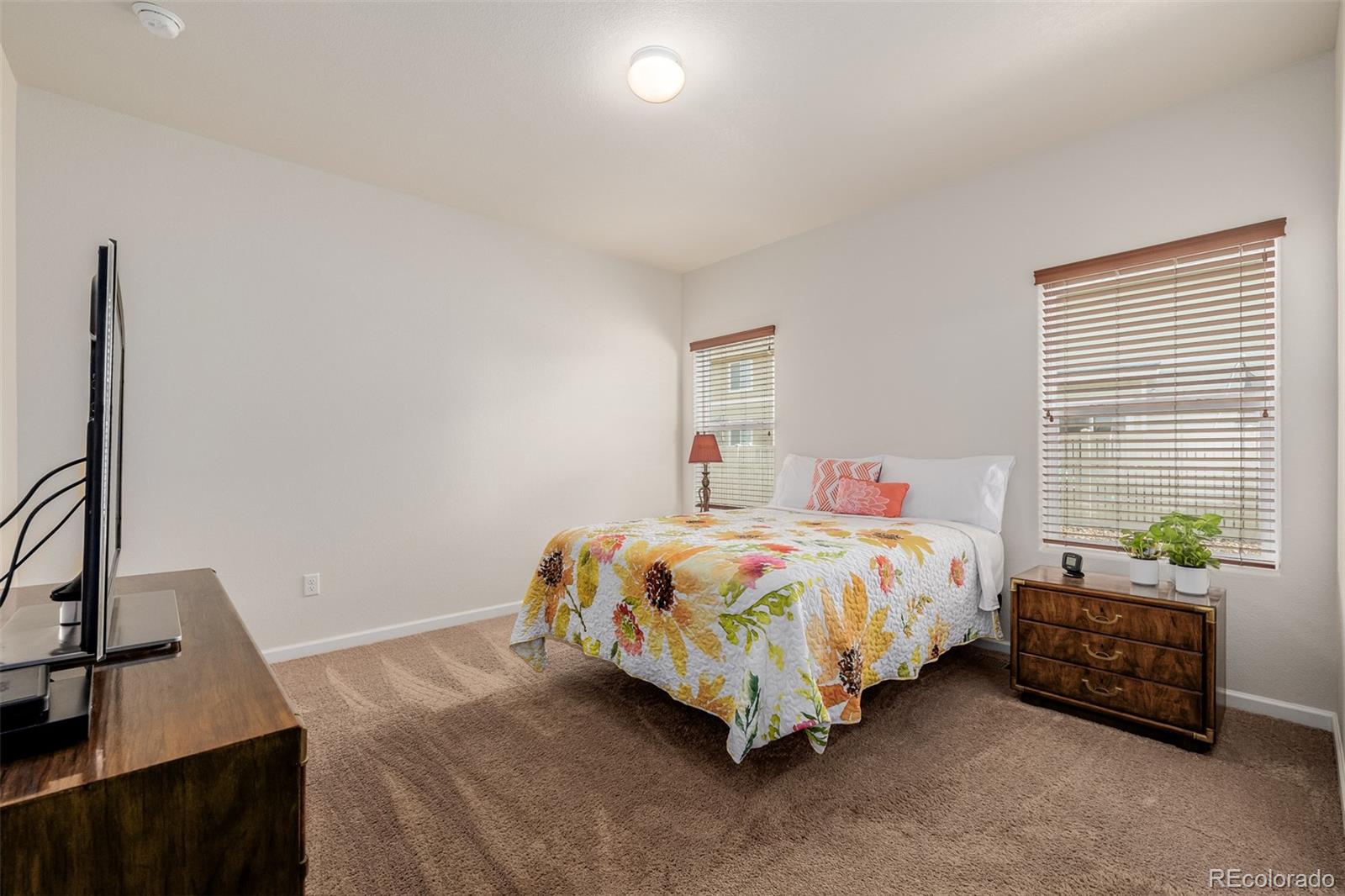 MLS Image #24 for 5580  tumbleweed avenue,firestone, Colorado