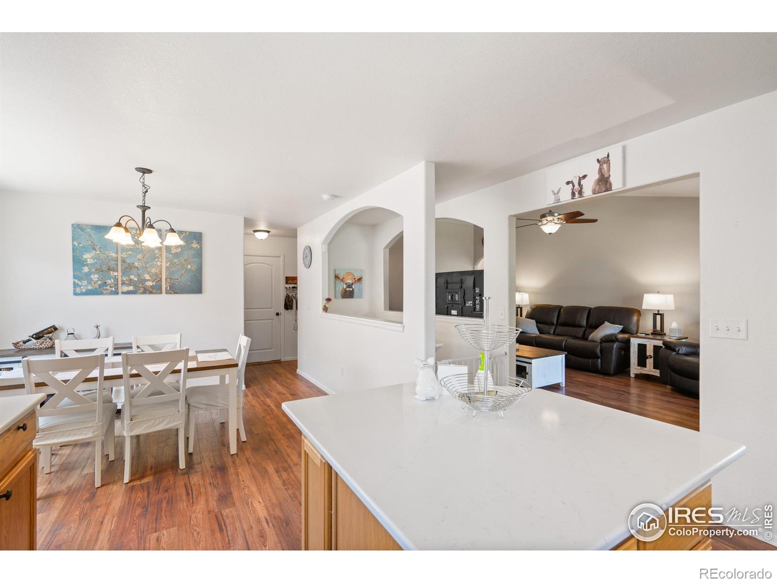 MLS Image #1 for 491  homestead lane,johnstown, Colorado