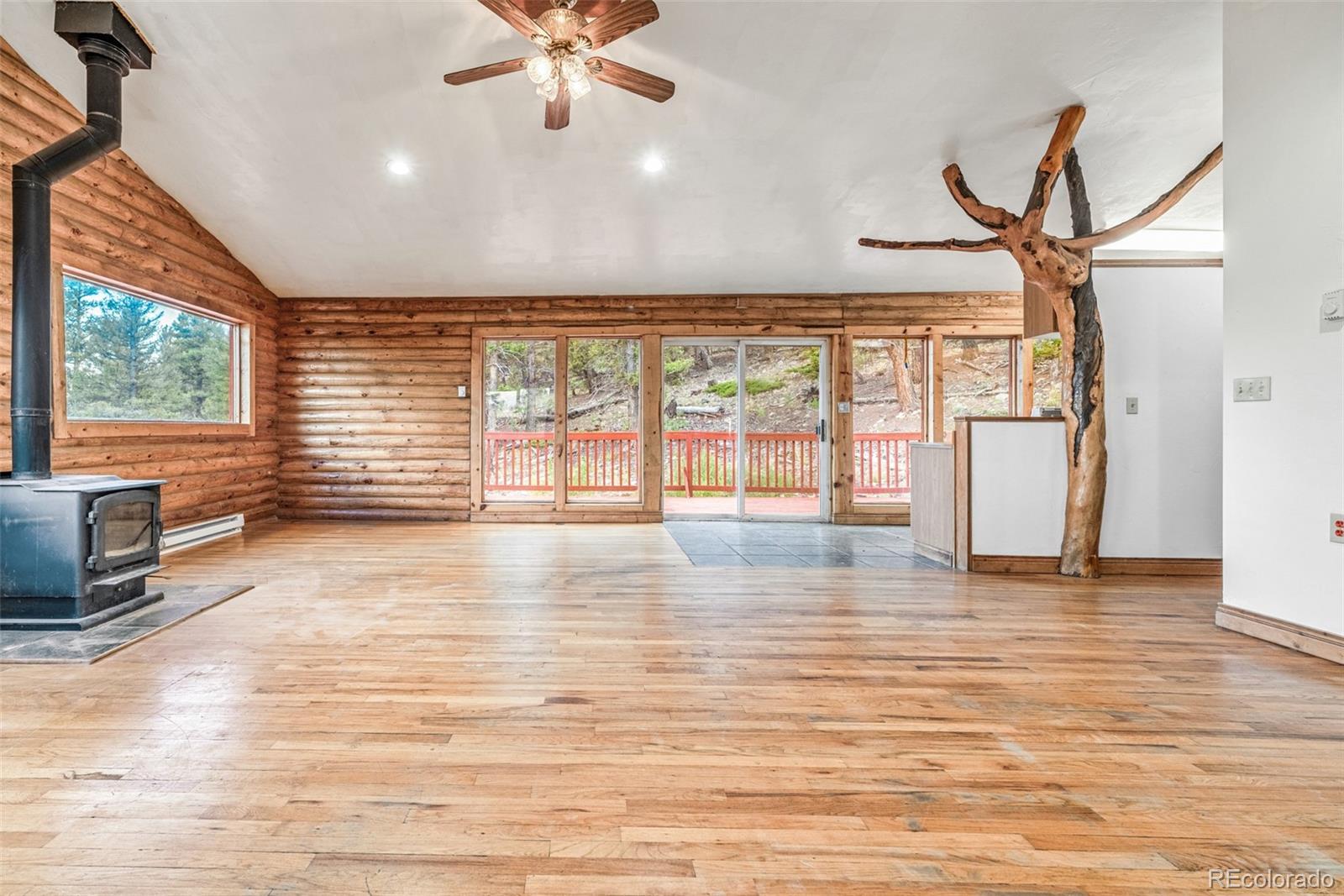 MLS Image #10 for 2271  redhill road,fairplay, Colorado