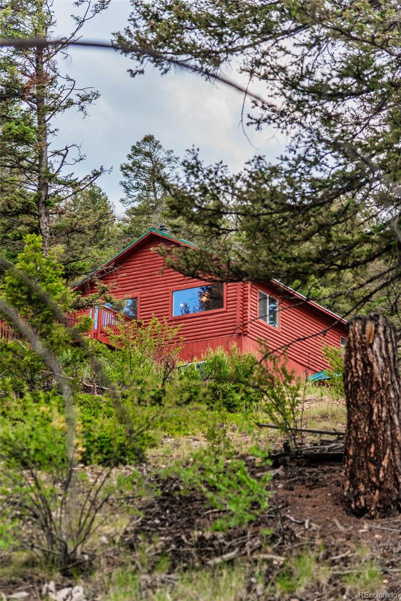 MLS Image #26 for 2271  redhill road,fairplay, Colorado