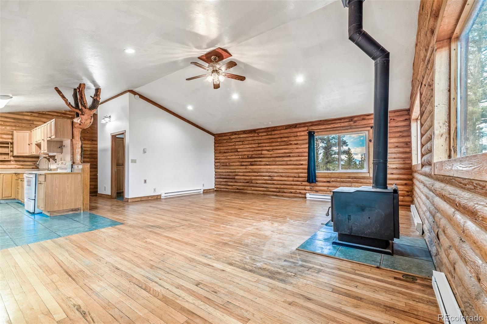 MLS Image #9 for 2271  redhill road,fairplay, Colorado