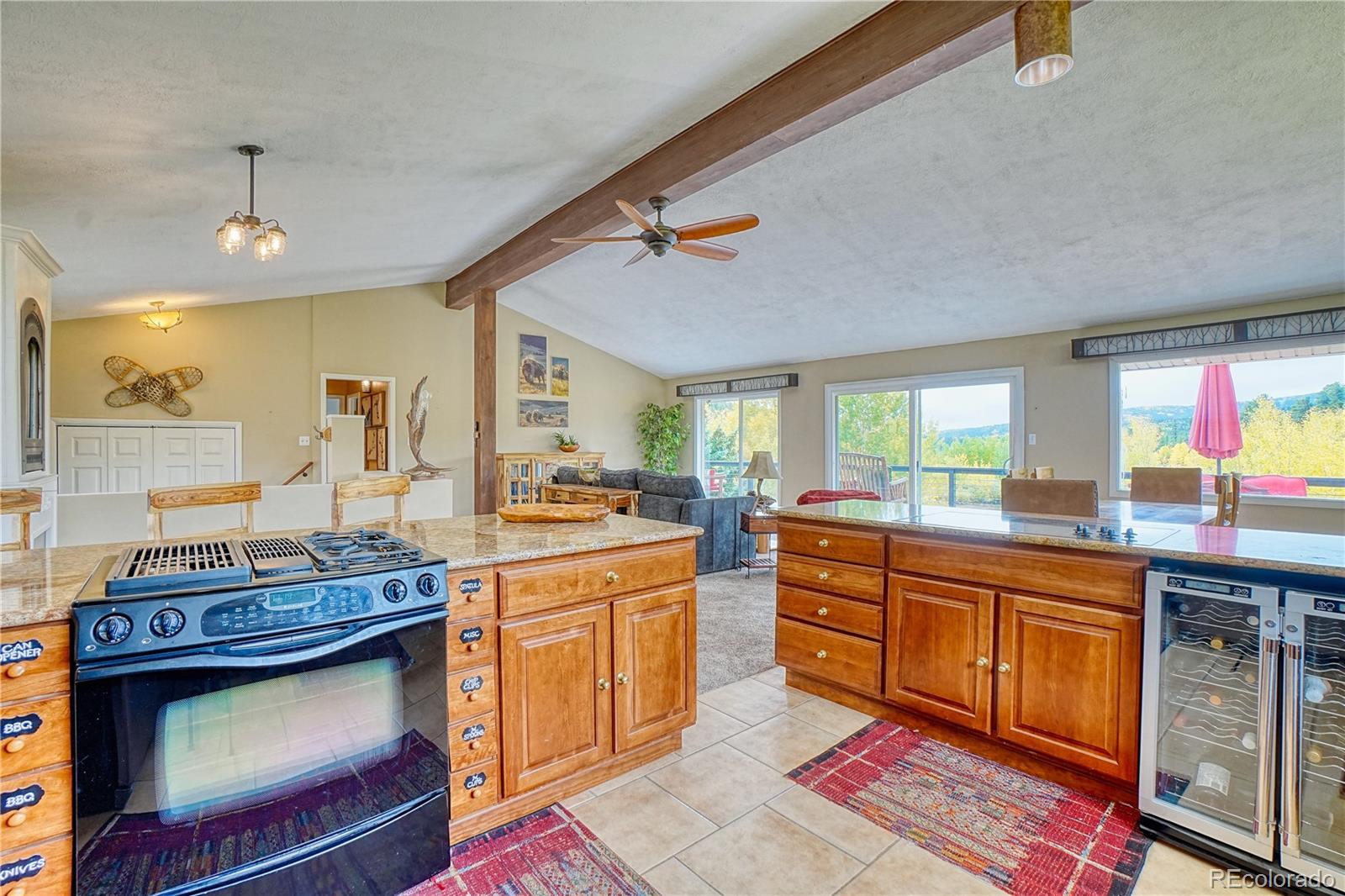 MLS Image #10 for 2802  upper apex road,central city, Colorado