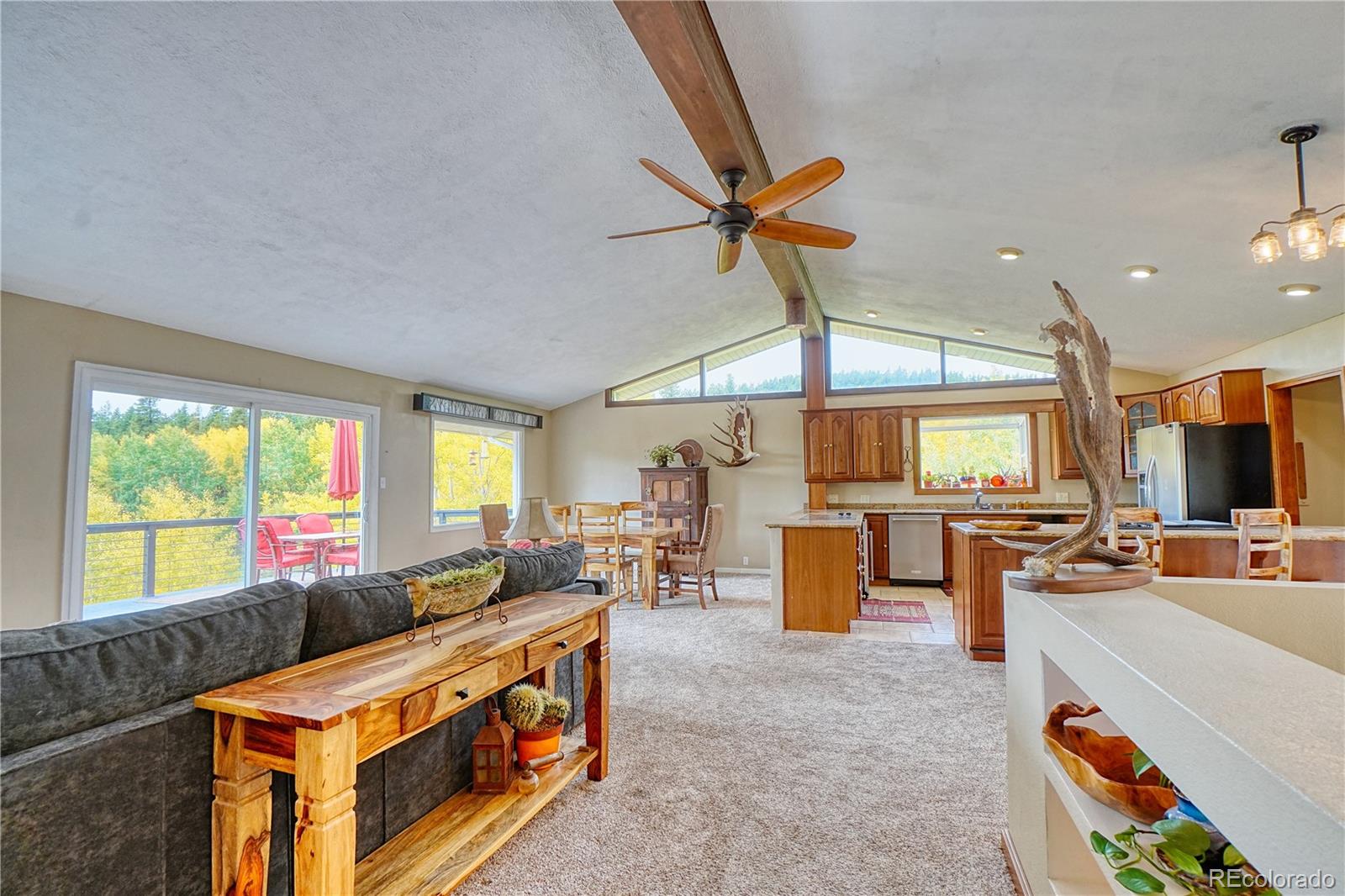 MLS Image #6 for 2802  upper apex road,central city, Colorado