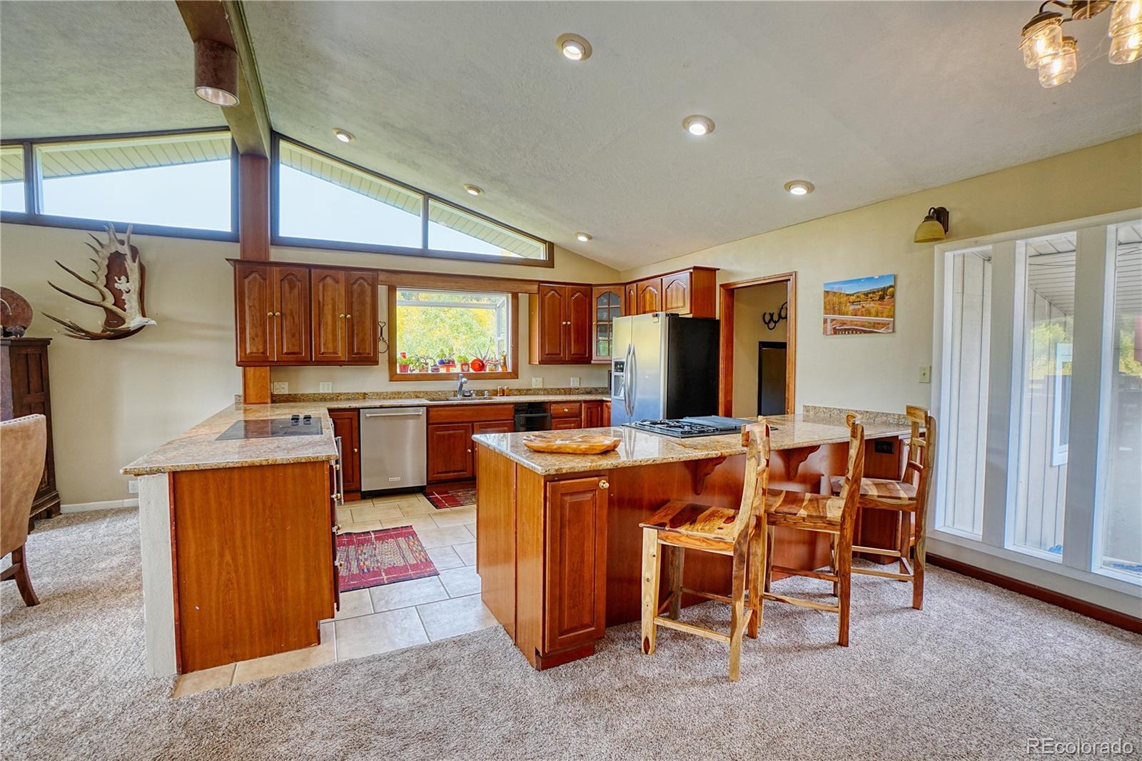 MLS Image #8 for 2802  upper apex road,central city, Colorado