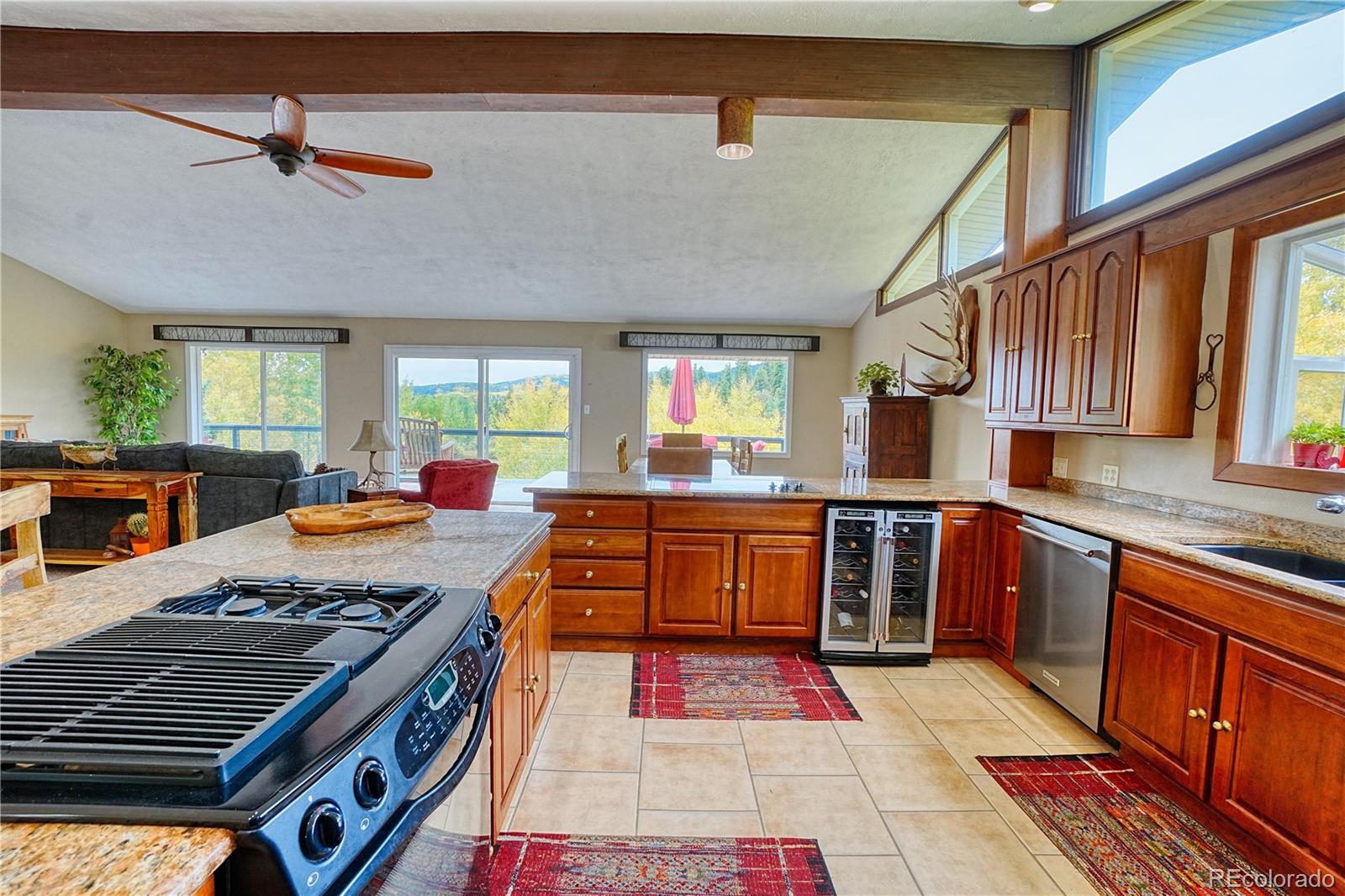 MLS Image #9 for 2802  upper apex road,central city, Colorado