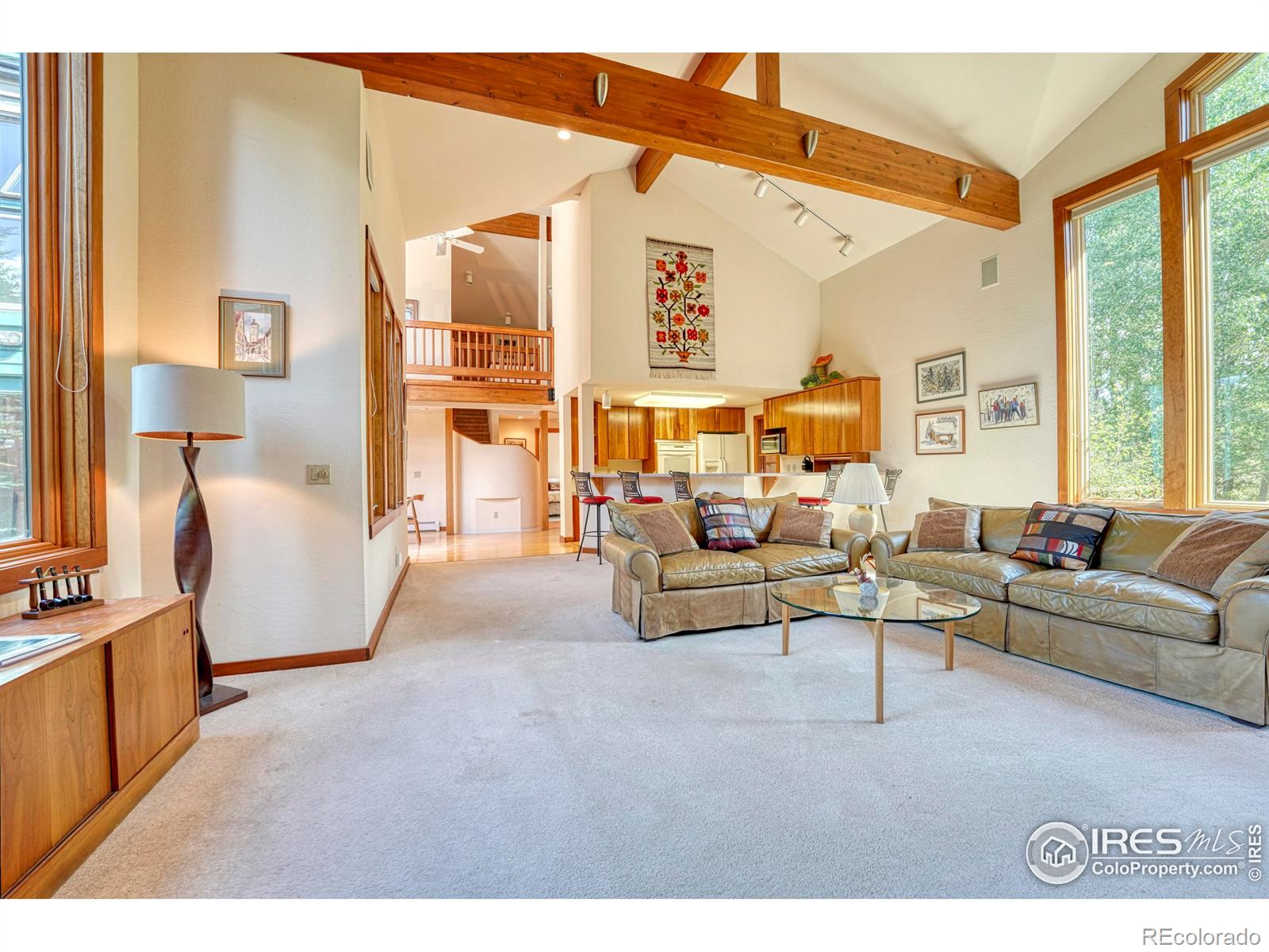 MLS Image #6 for 344  cartier court,dillon, Colorado