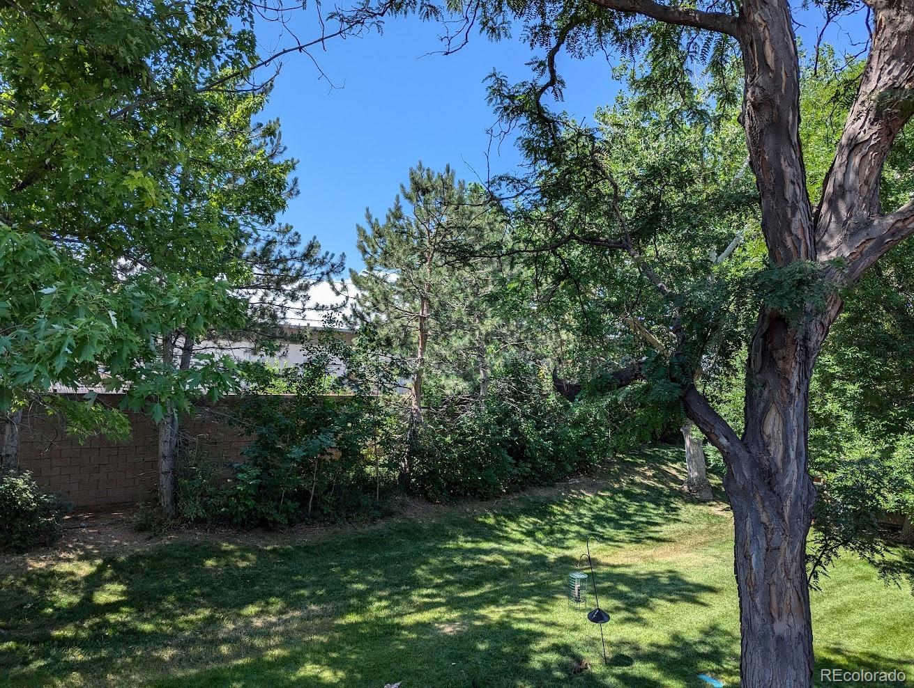 MLS Image #3 for 7152 s bryant street ,littleton, Colorado