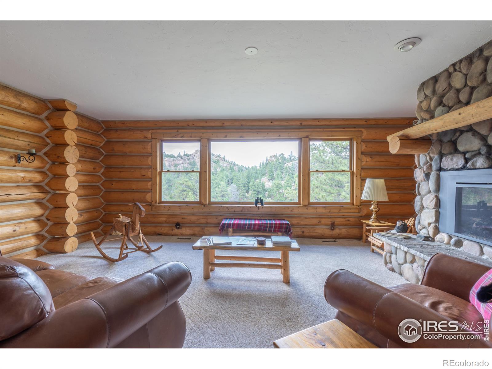 MLS Image #11 for 2915  weaver ranch road,livermore, Colorado