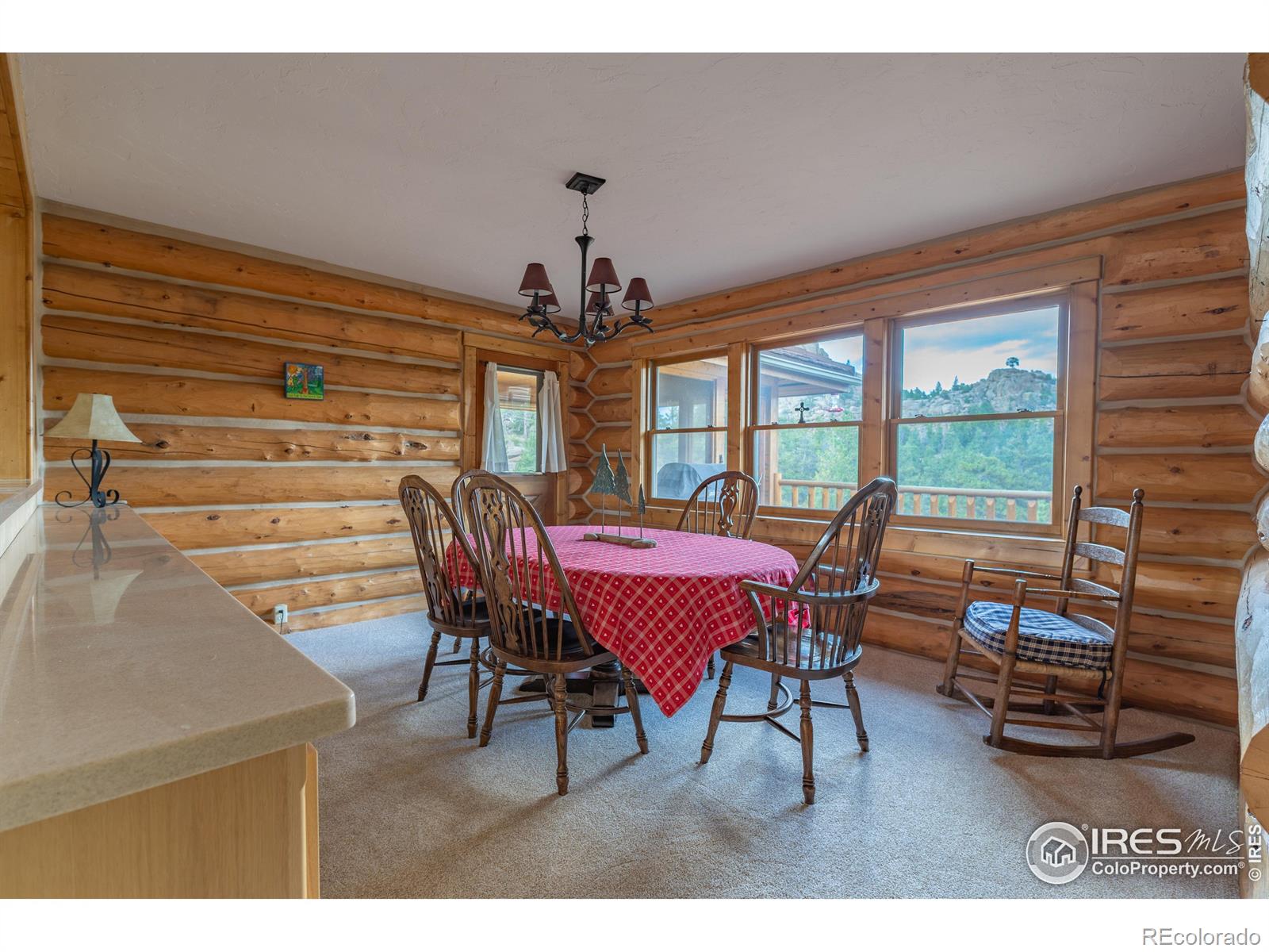 MLS Image #14 for 2915  weaver ranch road,livermore, Colorado