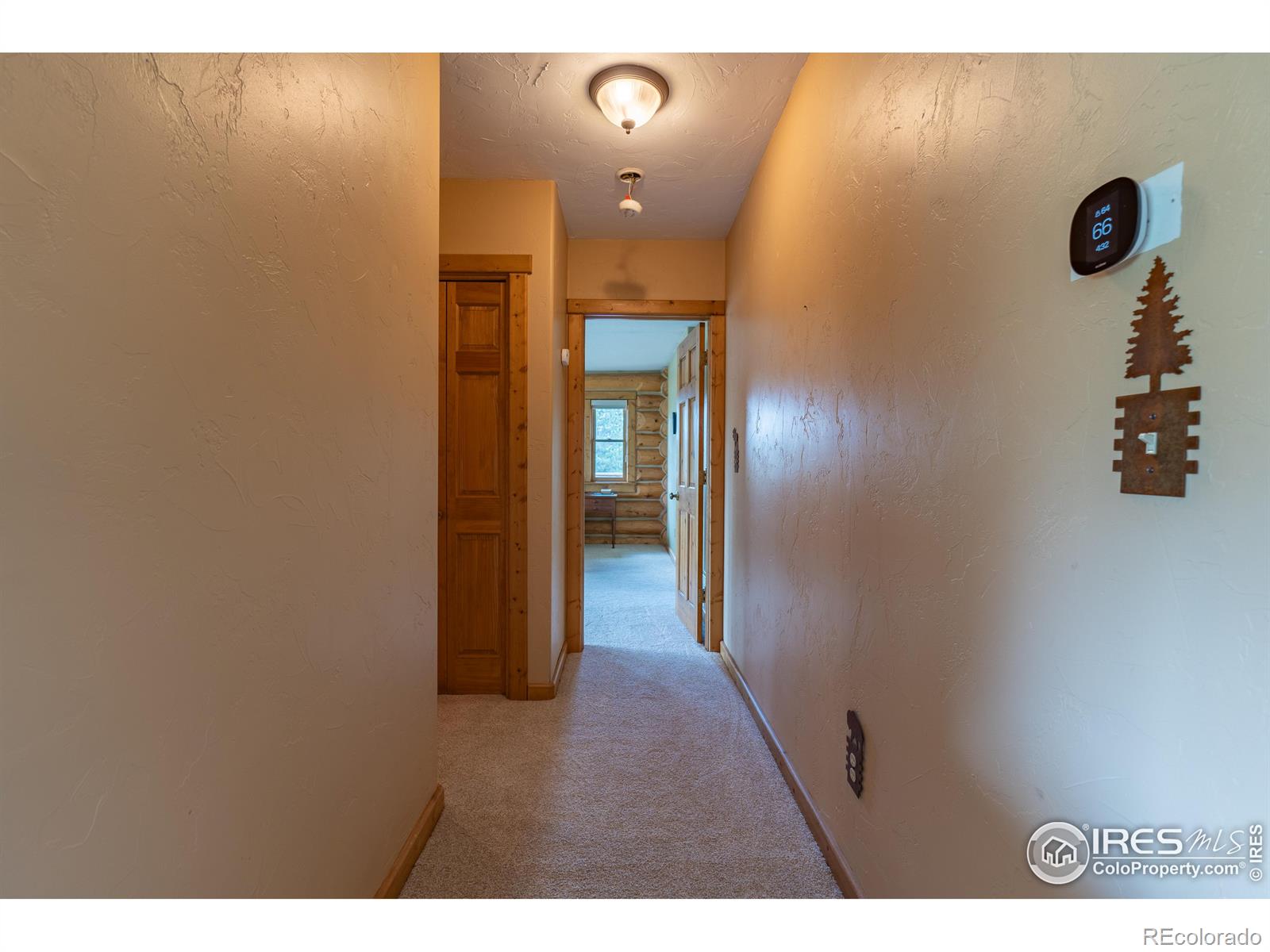 MLS Image #17 for 2915  weaver ranch road,livermore, Colorado