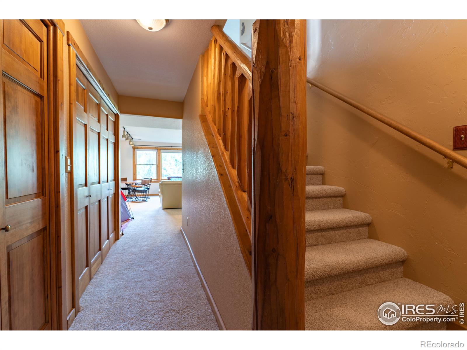 MLS Image #22 for 2915  weaver ranch road,livermore, Colorado