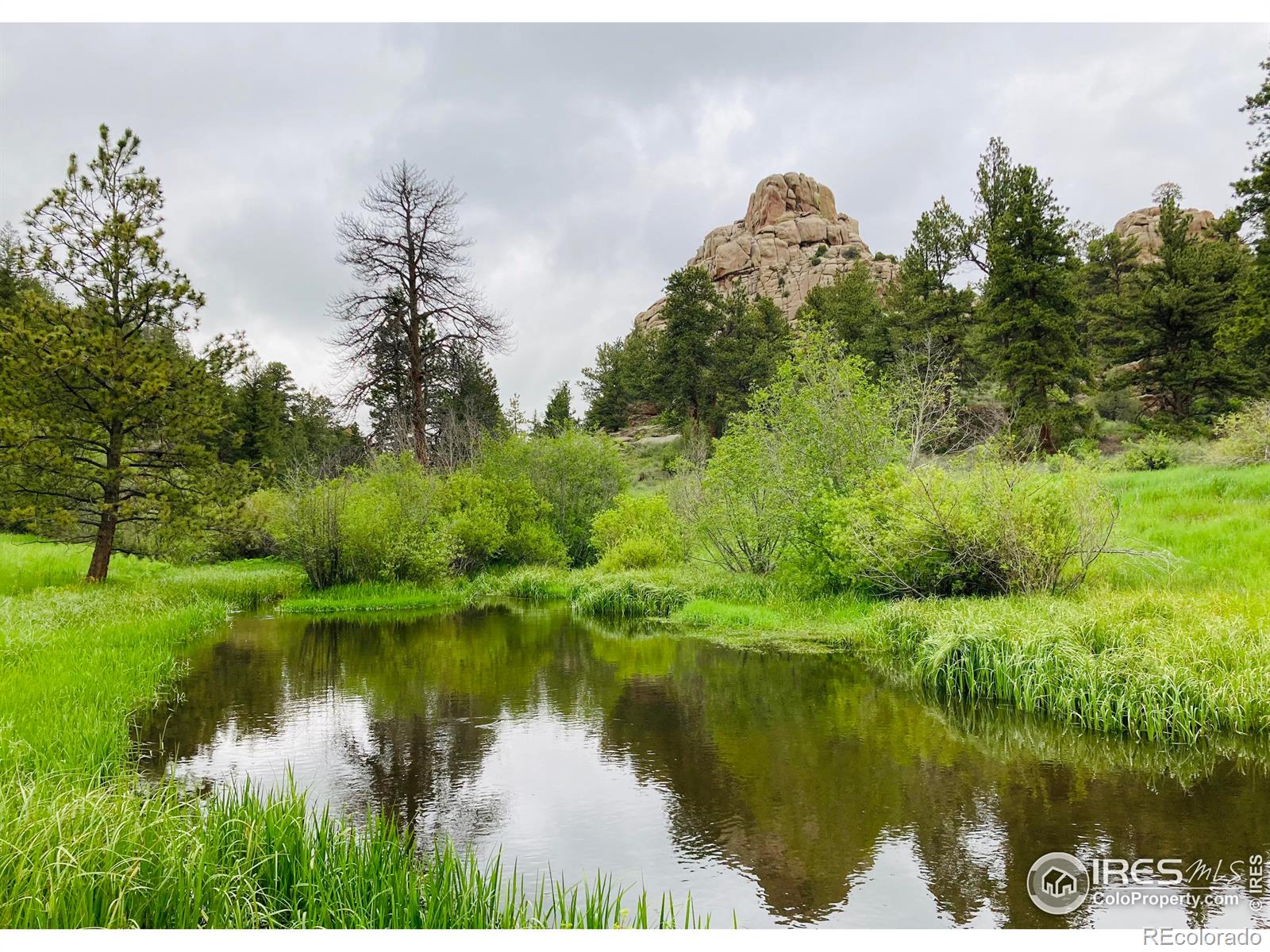 MLS Image #34 for 2915  weaver ranch road,livermore, Colorado