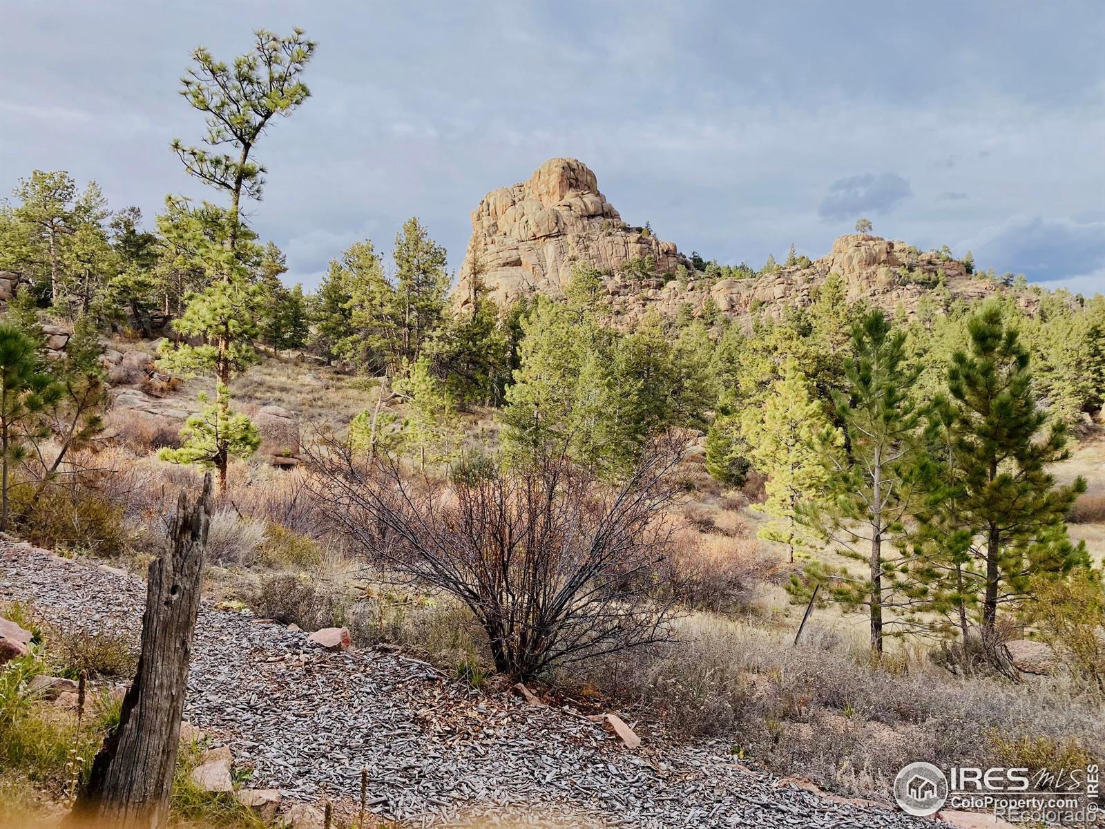 MLS Image #36 for 2915  weaver ranch road,livermore, Colorado