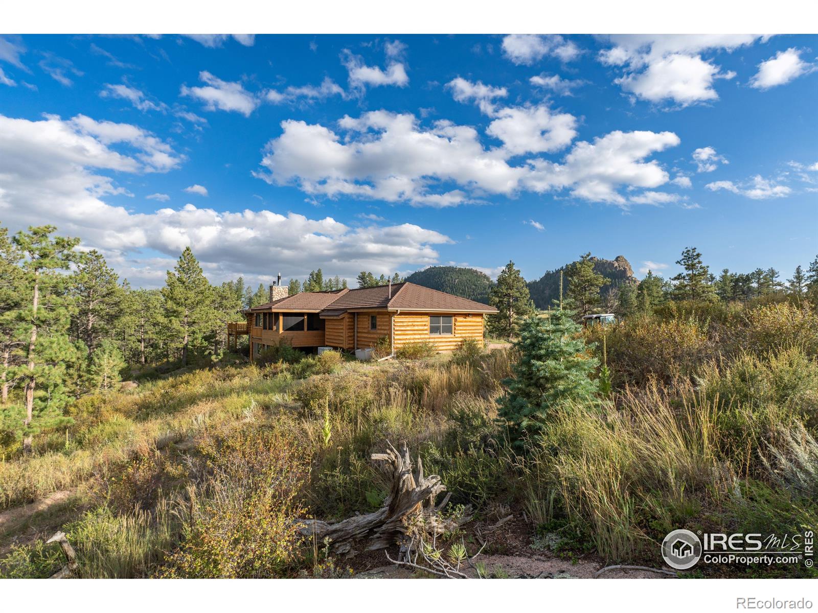 MLS Image #38 for 2915  weaver ranch road,livermore, Colorado